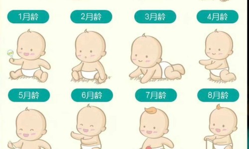 红花主治什么病的网—知名的红花是治什么病的有什么功效网站,分享红花有什么疗效知识